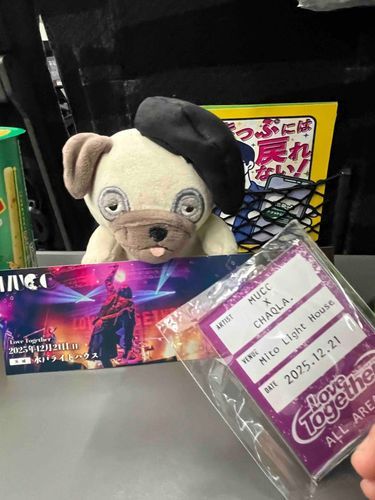 ぬしライブ納めだった！ことしも楽しかったね〜！！また来年もいっぱいぱぱのライブつれてってね！！