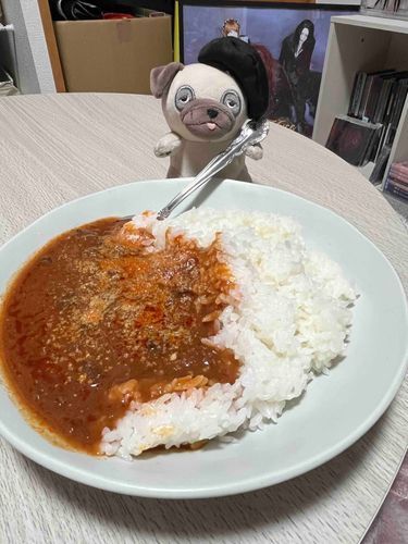 きのうのごはんはカレーだったよ！🍛