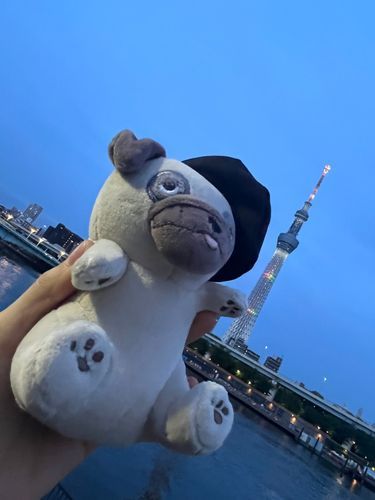 とうきょうスカイツリーに、タッチ！