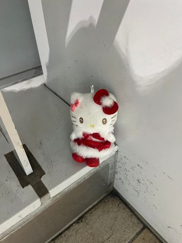 (自我)これはちょっと１？2？週間前なんですけど、武蔵小杉駅の横須賀線横須賀・逗子方面行きのホーム側階段ににはぐれキティさんがいて😭その時は終電だったから窓口も空いてなくて端っこに寄せてあげたんだけども無事に主さんのところに帰れたかなぁ😭心配🥺