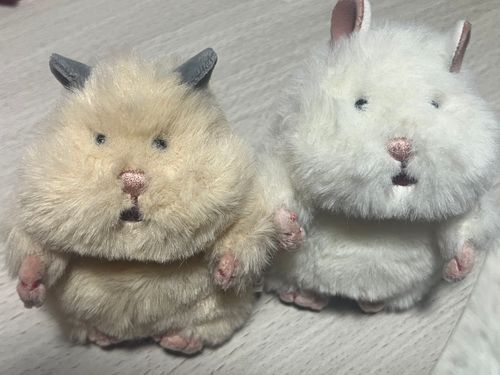 こせい な！
