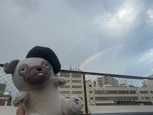 8/21はパパのたんじょーび！うぐいすだにでライブがあったんだけど、ダブルレインボーでてた！綺麗だった✨️
