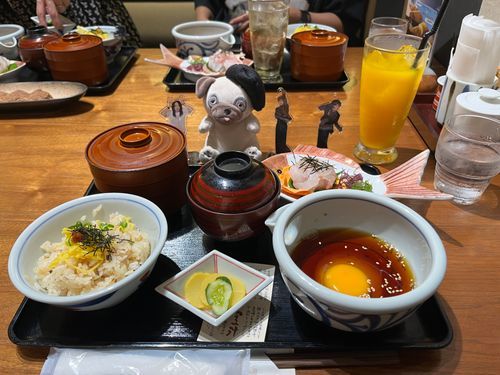 主が好きなメリーのお友達と一緒にえひめ観光！！どーご温泉気持ちよかったし松山城もよかった〜！！
鯛めしも美味しかった😋主楽しそうでよかった！！