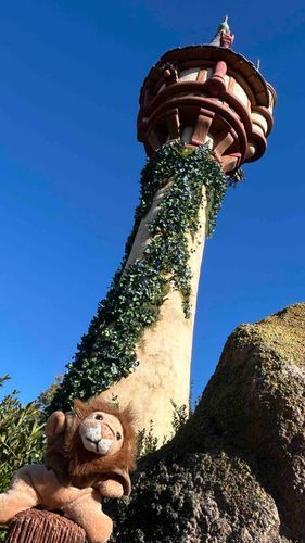 初めてレオとディズニーシーへ行って来た！
レオ「ほら!ラプンツェルを見付けたぞ♪」
はしゃいでるレオ可愛かった☺️