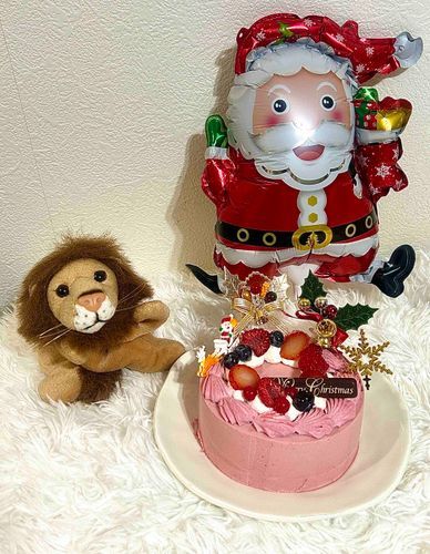 レオと過ごしたクリスマス♪