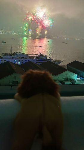 レオ「東京湾花火大会すごい綺麗だぞ🎆」