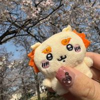 シーサーちゃん
