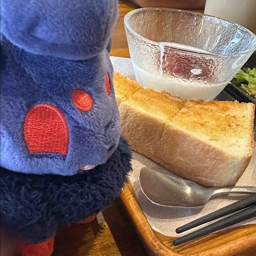 ひさびさのモーニング嬉しいね