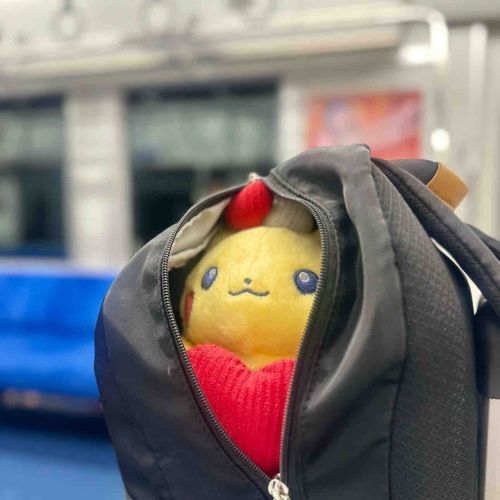 おでかけの予感。。。！