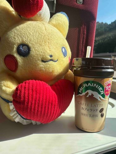 高山に行きました〜
電車のお供はマウントレーニアのカフェオレ