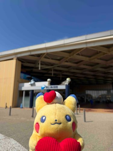 江ノ島にもいきました
行ってないけど水族館前でパシャリ