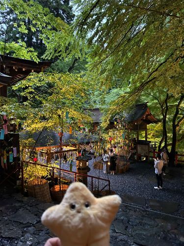 貴船神社行ったﾝﾀﾞ
七夕なﾝﾀﾞ
きらきらぼしなﾝﾀﾞ
みんなのゆめ、叶えるﾝﾀﾞ