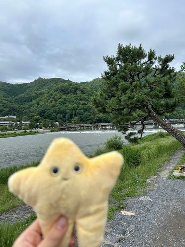 渡月橋ですﾖ