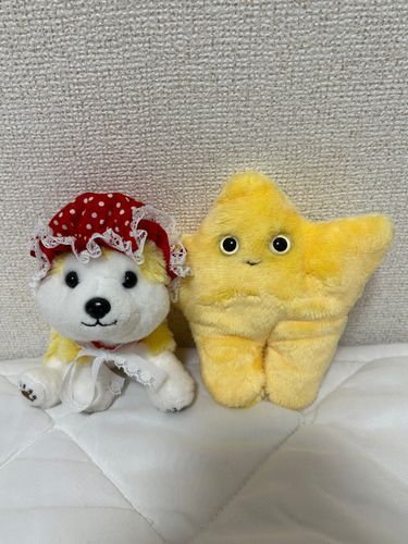 イエローファミリーなのﾀﾞ