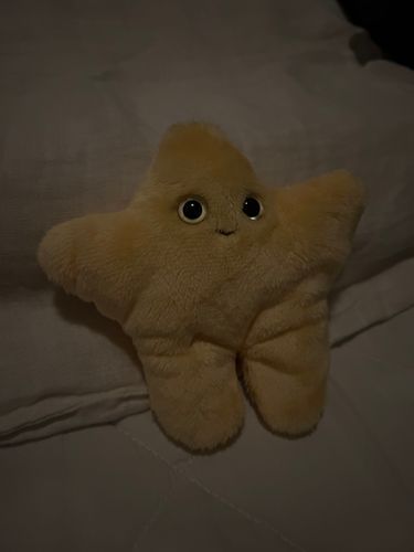 まくら 高すぎｶﾓ