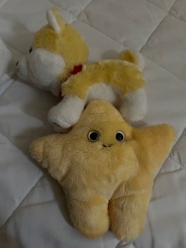 ジャストフィット グッドモーニング☆