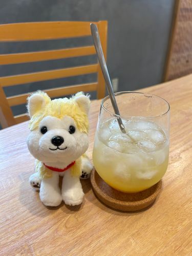 イエロー仲間を見つけたよ