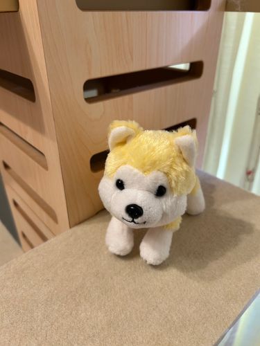 のぼれたよ
