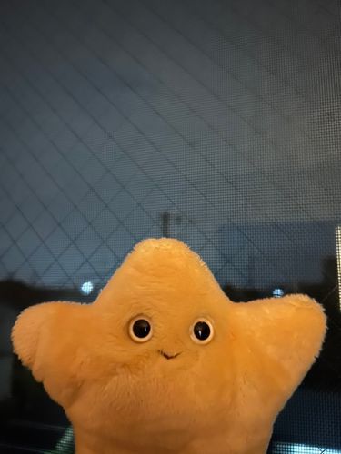 まいにちまいにち曇天だね