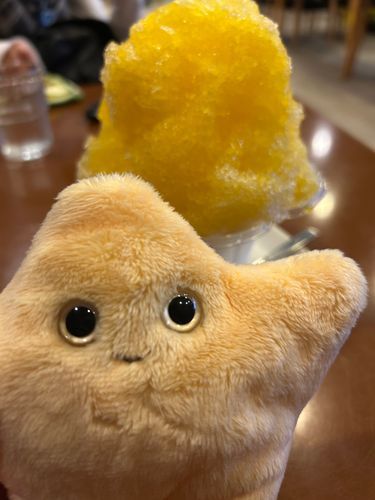 もうかき氷はちょっと寒かったね〜