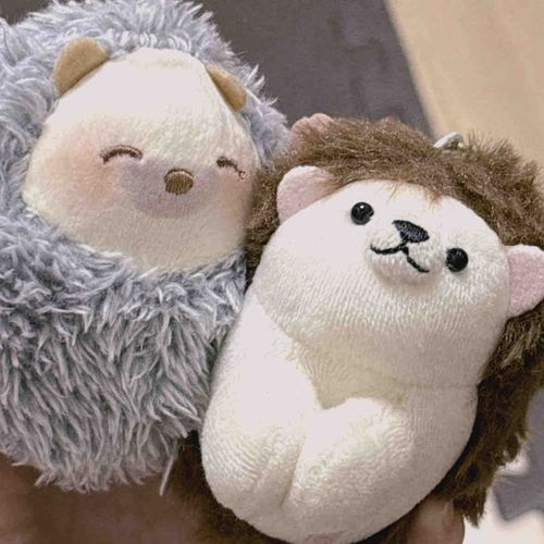 ハリネズミのかわい子ちゃん2匹がランダム出演します🦔🦔