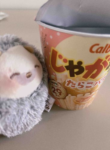 たらこバターあじのじゃがりこを食べたよ
おいしいね