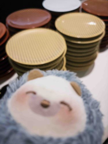 おすしいっぱいたべたよ！！！！！
魚べいおいしいね🍣🍣
かいぬしは10皿食べたらしい…