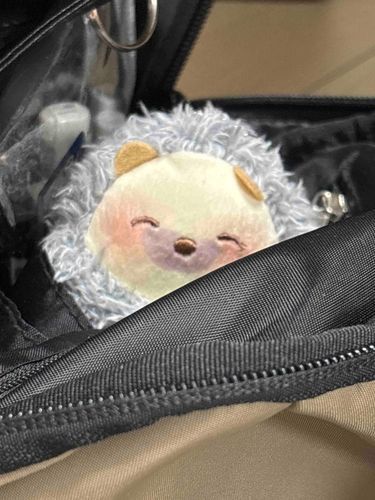 あしたから沖縄にいくよ〜
暑いかな〜？飛行機がんばろうね✈️