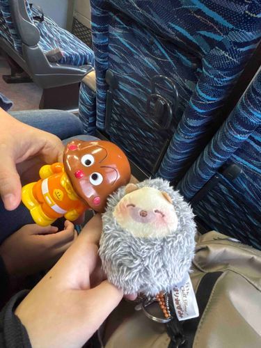 沖縄いくよ〜！！かいぬしのしゅーがくりょこう！！
バス隣の席のおともだちとツーショット✌🏻🚌