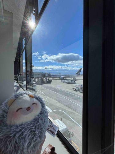 空港ついたよーー
乗るぞー！✈️どきどきだね💓
