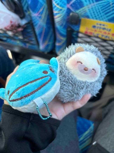 おきなわでおともだちが増えました🦈🩵