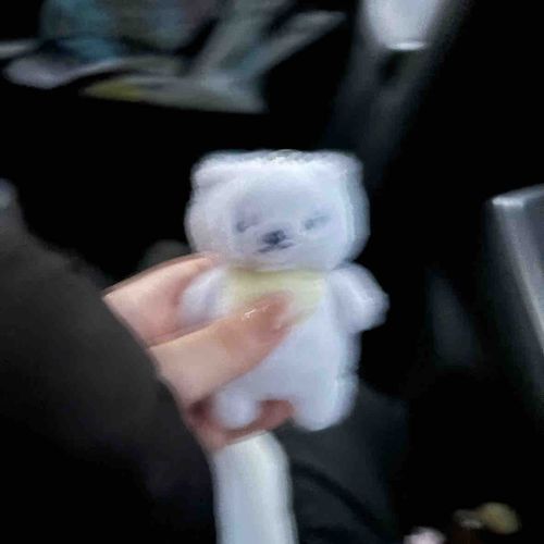 これは車の中で撮ったらぶれぶれになったしろまる。
🐻‍❄️「うわあぁぁぁぁぁぁ！」