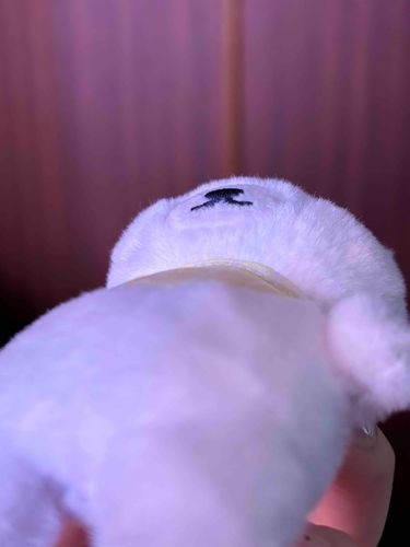 おなか、ぽんぽこりんなんだ！！