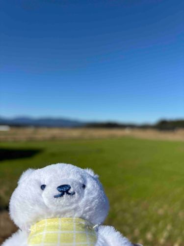 さんぽしたんだ〜
あおい空！ひろい田んぼ！
きれいな景色だったよー