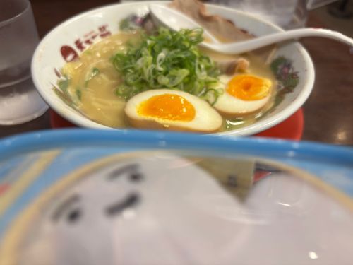 天下一品をたべにいったよ！🍜🥚
ねこちゃんにはちょっと匂いが刺激的だったからケースの中からこんにちはしたよ👋🏻‪
おいしかったね〜(>ᴗ<)