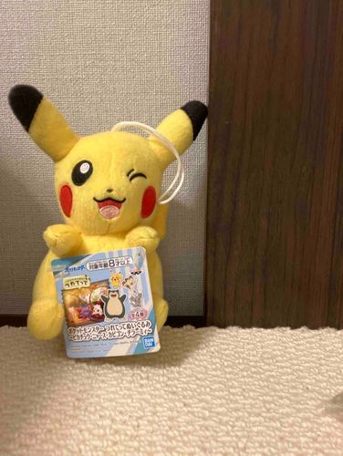 クレーンゲームで取ったよー
苦戦したけれど、、
5回ぐらいかな〜