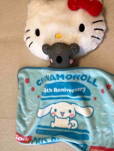 自分で作ったコアラちゃん
静かにねんね💤
