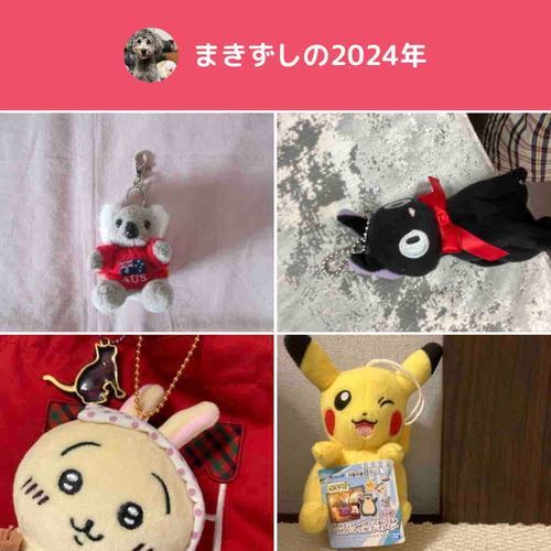今年始めたばっかで、投稿が最近できてなかったけど、来年もよろしくお願いします！フォローしてくれてる人ありがとう！
