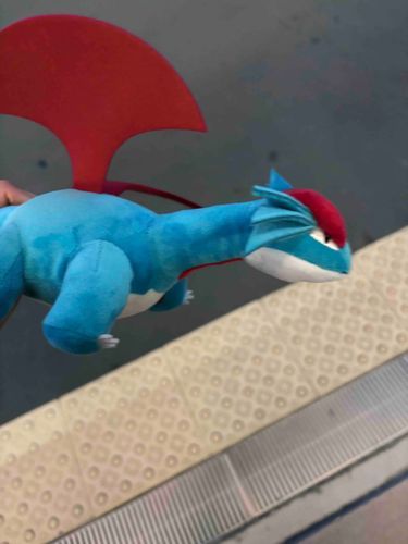 ポケモンもゲットだぜ！