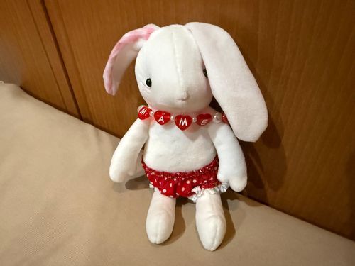 まめと言います。よろしくね