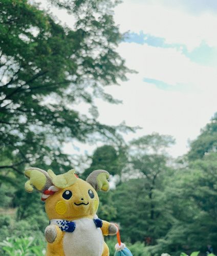 ｽｳｩｩｩｩｯ(マイナスイオンを吸い込む音)