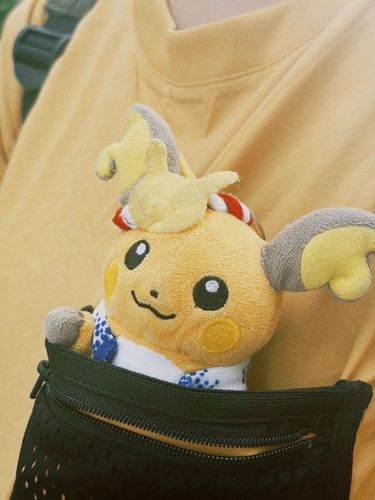 結構、ポケットにも入ります！