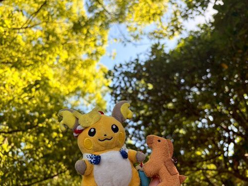 はにま先輩とピクニック