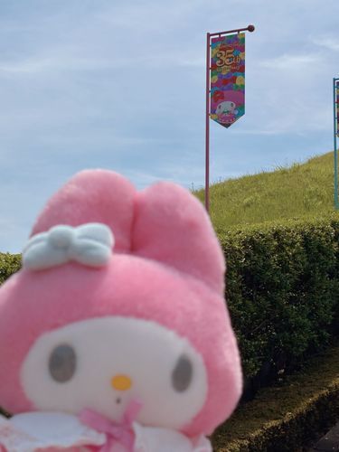 メロディ　ぱたぱた〜♪ みえるかなあ？
