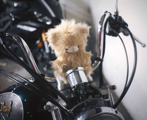 風に吹かれて気持ちい〜！🏍