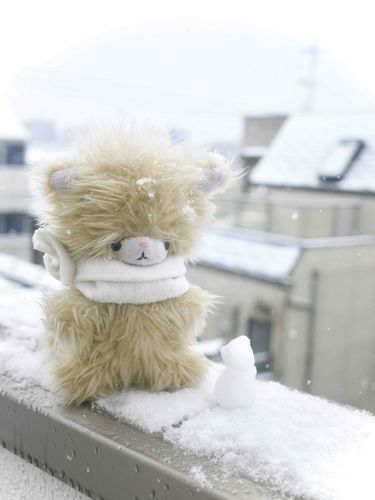 にら、雪初めて見たよー！ほわほわで白くて不思議だ〜⛄️雪だるまも作ってみた！