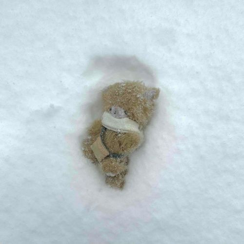 人生2度目の雪！
ダイブしたら雪まみれになっちゃったよ