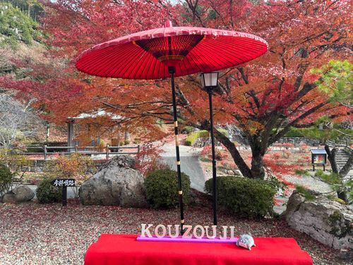 紅葉がきれいだったぜ🍁