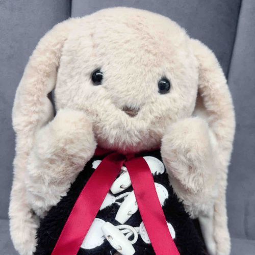 はじめまして
うさぎのむぅだよ。
こもちゃんといっしょにくらしてるんだ！

きょうはSICXXX.のでびゅーらいぶだったんだよ！
みんなきらきらでかっこよかったな💭
たのしいいちにちだった！