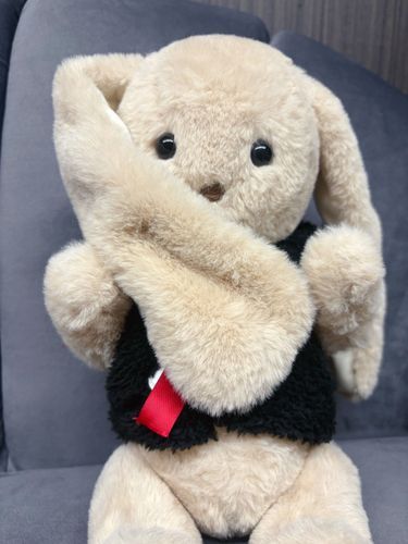 みみがながいのがちゃーむぽいんとなんだ♪

おしらせなんだけど
なんとここで
https://amtronline.base.shop/
しっくすのみんなとむぅのちぇきがかえるんだって！！
4がつ10にちまでだよ！
よかったらおむかえしてほしいな！